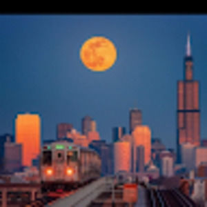 Meet your Posher, William